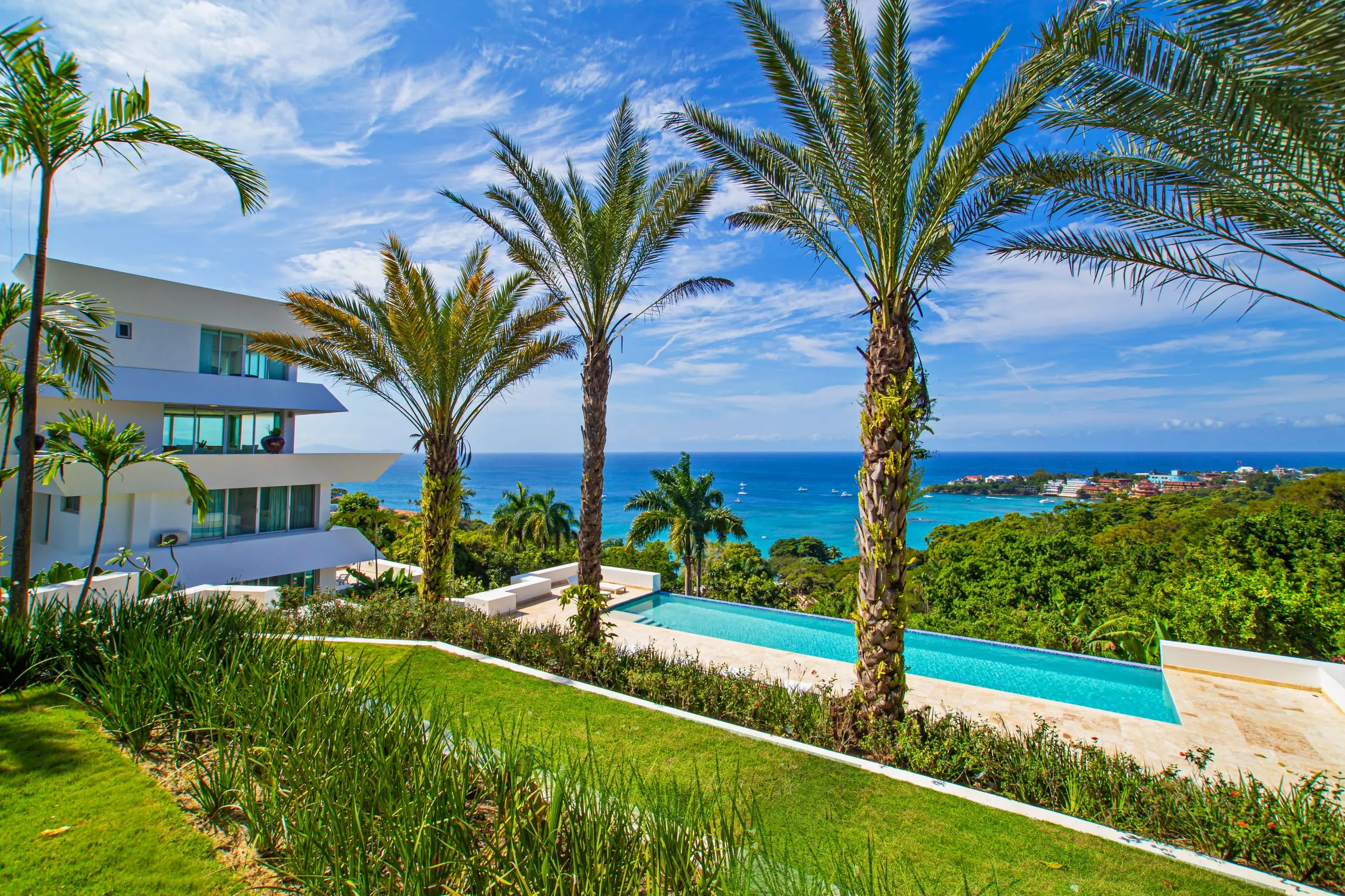 Pool terrace framed by tropical palms